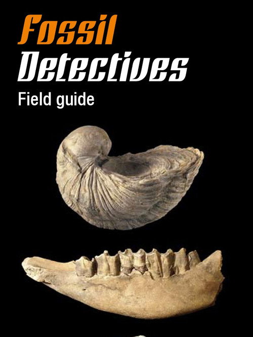 Fossil Detectives poster