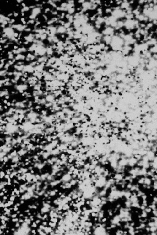 Carbon Dust poster