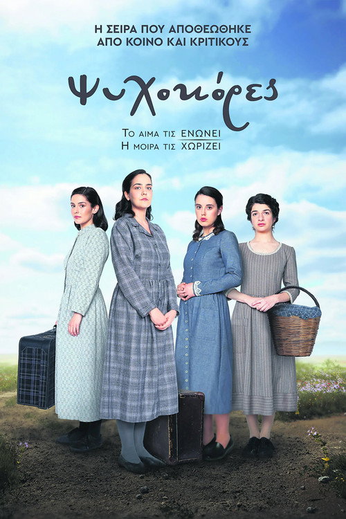 Psyhokores poster