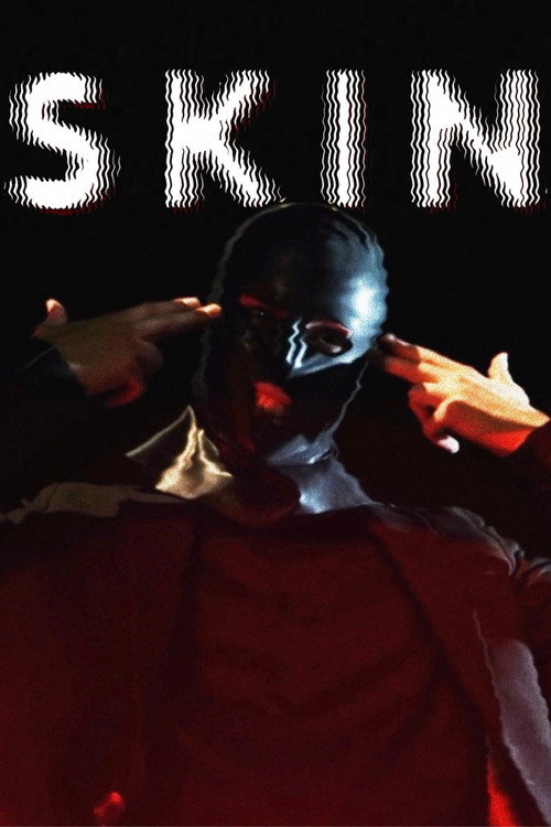 SKIN poster