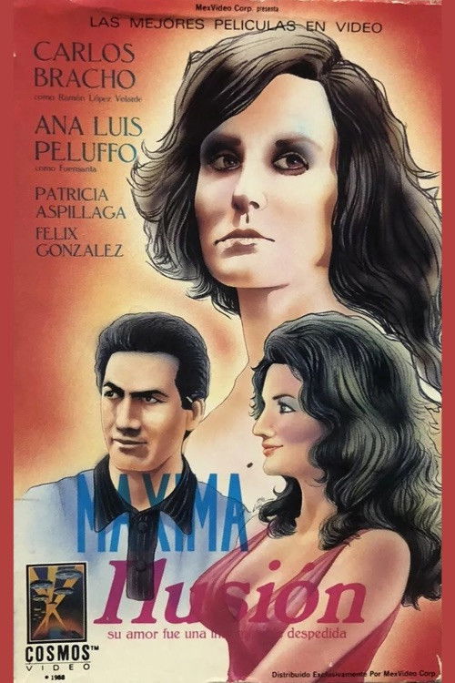 El vals sin fin poster