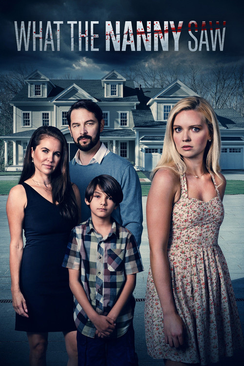What the Nanny Saw poster